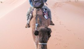morocco stars tours, morocco desert tour from marrakech to fez, Ride camels